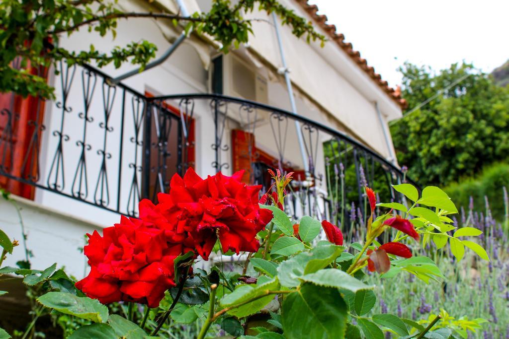 Guesthouse Lykourgos Mavrommation Ngoại thất bức ảnh