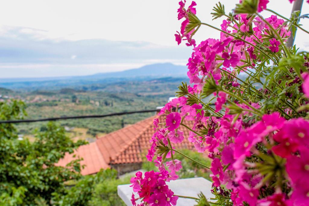 Guesthouse Lykourgos Mavrommation Ngoại thất bức ảnh